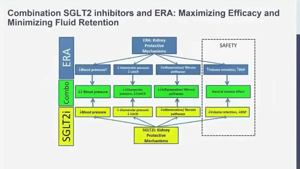 ERA 與 SGLT2i 的腎保護與體液狀態互補假說